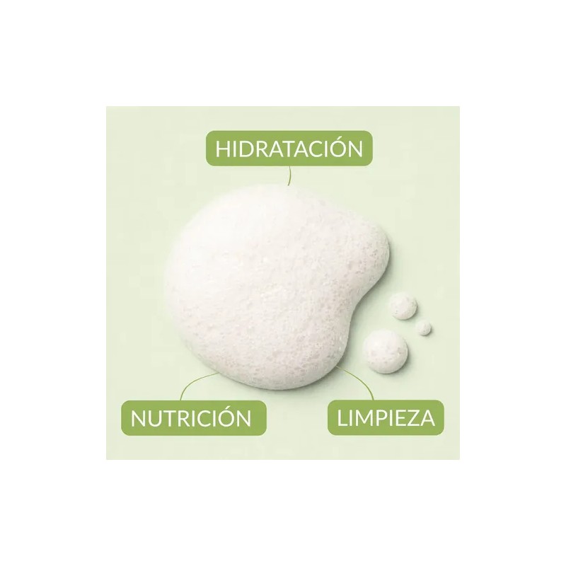 Shampoo Capilar De Chile Romero Chili Rosemary Hair Shampoo, 1