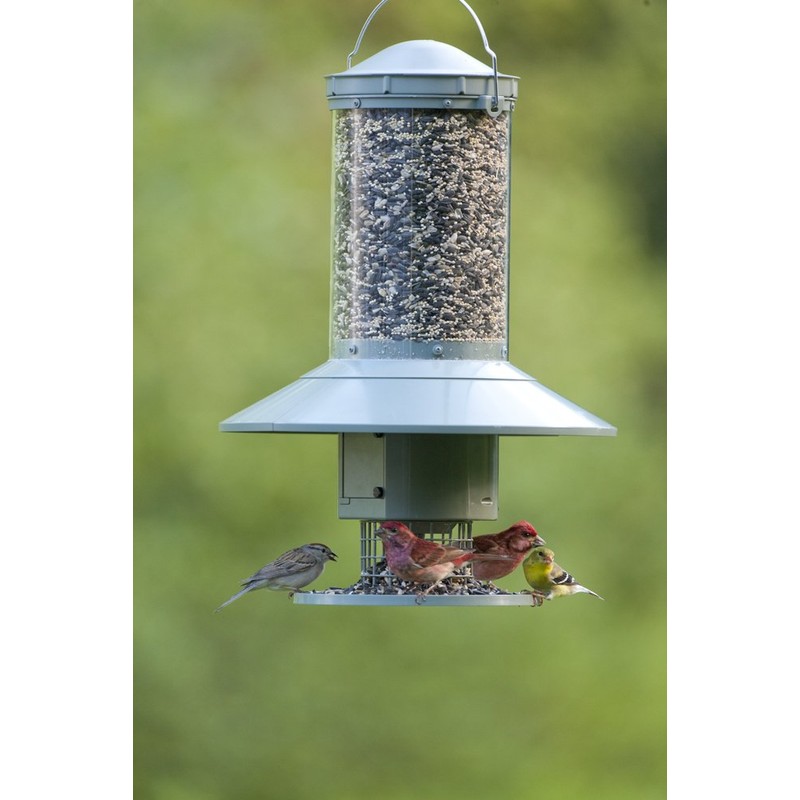 Wingscapes AutoFeeder® Automatic Bird Feeder