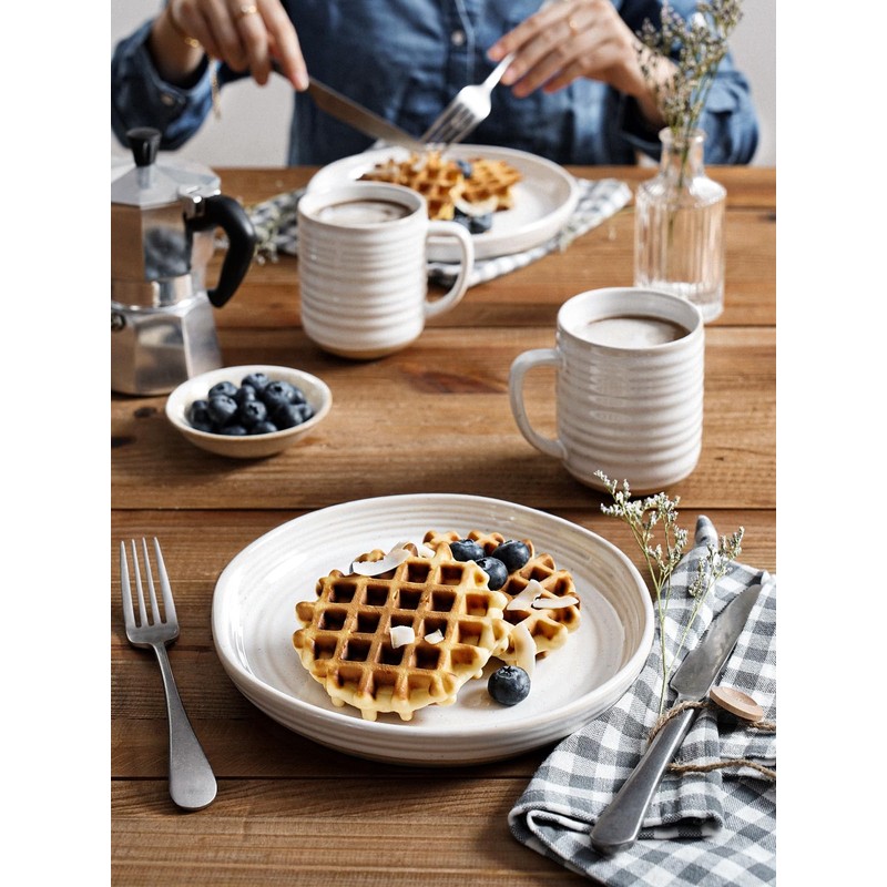 LE TAUCI Dinner Plates Set of 4, 10 Inch Ceramic