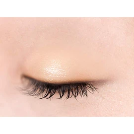 Excel Eye Planner R01 (Vanilla Musk) Eyeshadow Single Color Eyeshadow Under-eye Bags
