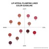 Lip Appeal Plumping Liner (011, Rhapsody)