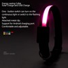 LED Dog Collar USB Rechargeable Solar Luminous Collar Adjustable Lighted