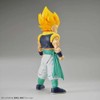 Figure-rise Standard Dragon Ball Super Saiyan Gotenks, Color Coded Plastic