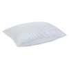 Mainstays (2 pack) Mainstays Huge Overfilled Bed Pillow, Standard/Queen