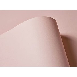 Extract Shell Pale Pink Paper Contains Recycled Coffee Cups 130gsm 10 Sheets