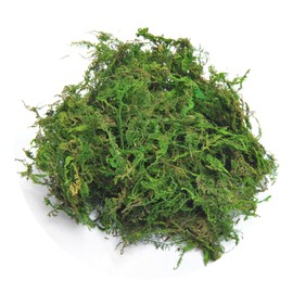 TOPCOMWW Fake Moss, 10.5oz Aftificial Decorative Green Grass for Centerpieces, Plant, Crafts, Flowers