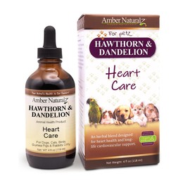Amber NaturalZ Hawthorn & Dandelion Herbal Supplement for Dogs, Cats, Birds, Rabbits, and Guinea Pigs | Supports Heart Health, Circulation, and Fluid Balance | Natural Cardiovascular Care 4 FL Oz