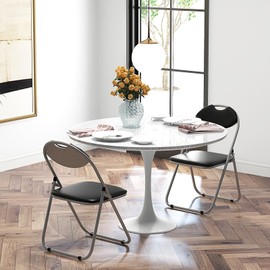 LUARANE Folding Chairs, 2 Pack Metal Dining Chairs with Padded Cushion and Back, Portable Party Chairs with Carrying Handle, Commercial Seat for Indoor Outdoor Wedding Home Office, Black (Set of 2)