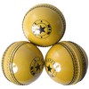 SPIN FIRST Incrediball Cricket Balls ! Soft & Safe Indoor