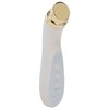 Facial Beauty Massager Hot Compress Vibration EMS Microcurrent Skin Tightening