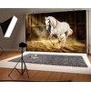 LFEEY 10x8ft Western Photography Backdrops Countryside West Cowboy Horse in