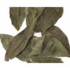 Dried Avocado Leaves, Hojas de Aguacate Seco, Avocado Leaves Tea: