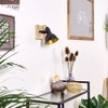 Tina Ceiling Light in Various Designs