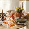 FYSUIMU 50 Pcs Fall Thanksgiving Guest Napkins Pumpkin Squirrel Maple