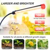 4-Head Table Top Grow Lights for Indoor Plants, Seed Starting,