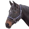 Shires Wessex Pony/Horse Headcollar Full Navy/Silver