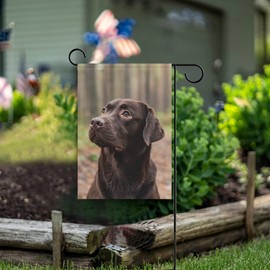 Hokkien Chocolate Labrador Sitting The Forest Garden Flag Banner 12 x 18 Inch Decorative Garden Flag for Outdoor Lawn and Garden Home Décor Double-Sided