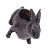 Rabbit Planter Animal Shaped Cartoon Succulent Plant Pot Garden Decoration