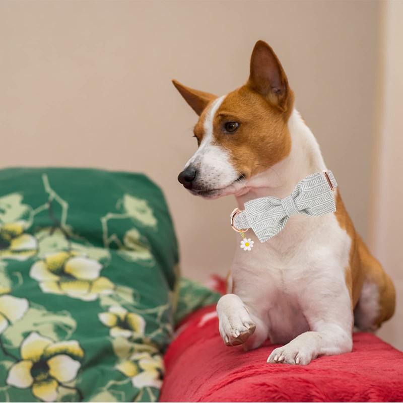 Elegant Little Tail Dog Collar with Bow - Herringbone Grey,