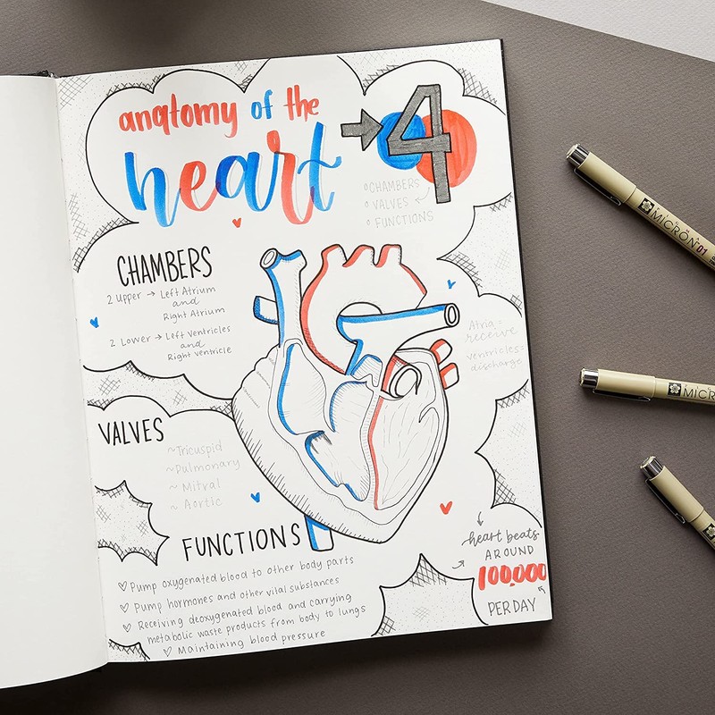 SAKURA Pigma Micron Fineliner Pens, Multi-tip Set, Archival Gray Ink,