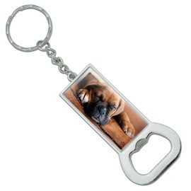 GRAPHICS & MORE Boxer Puppy Dog Sleeping in Leather Chair Keychain Rectangle Chrome Plated Metal Bottle Cap Opener