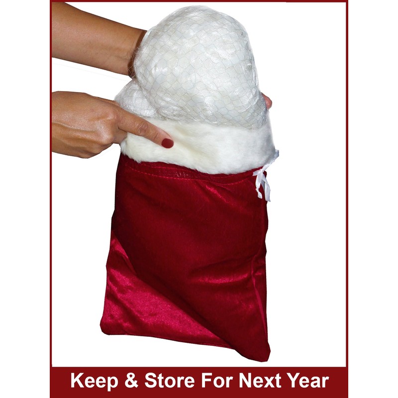Costume Adventure Deluxe Santa Beard and Wig Set Santa Claus