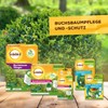 Solabiol Boxwood Moth Trap Refill Pack for Filling Solabiol Boxwood
