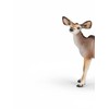 Schleich Kudu Calf
