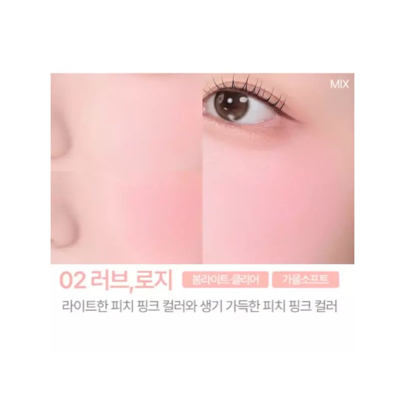 2AN 투에이엔 블러셔 듀얼 치크 웜톤 발색 02 러브 로지