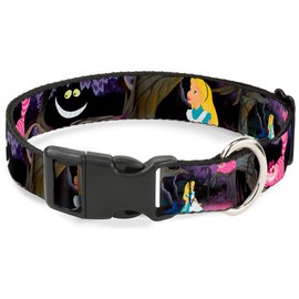 Buckle Down Alice & The Cheshire - Collar con Clip de plástico para gatos, Multicolor, 1/2" Wide - Fits 6-9" Neck - Small