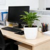 SIBAO 6 Pcs Self Watering Pots with Water Level Indicator,