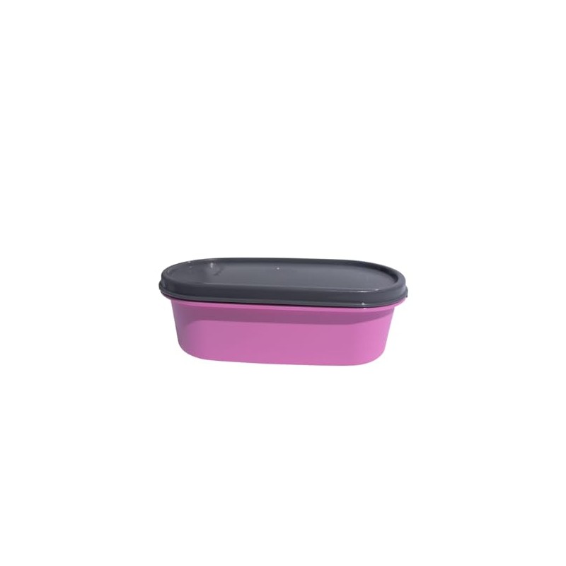 Tupperware Eidgenosse Oval Round Compact Container Storage Modular Fridge System