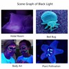Portable 365nm UV Flashlight LED Black Light Torch for Pet
