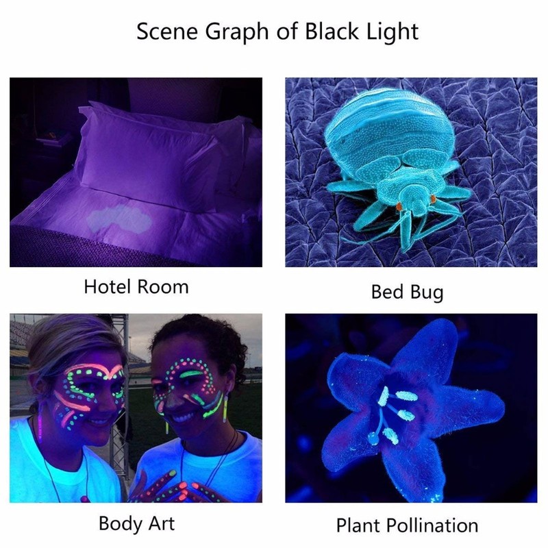 Portable 365nm UV Flashlight LED Black Light Torch for Pet