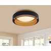 Aiwen LED Round Flush Mount Light, Contemporary Circular Ceiling Lighting