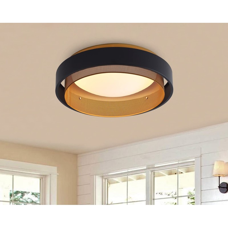 Aiwen LED Round Flush Mount Light, Contemporary Circular Ceiling Lighting