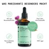 Milk Thistle (Silybum Marianum) Alcohol-Free Mother Tincture - Liquid Extract