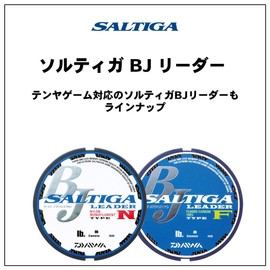 DAIWA SALTIGA BJ LEADER Type F 10lb 35m