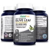 NusaPure Olive Leaf Extract (Non-GMO) 25,000mg - 20% Oleuropein -