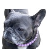 Dog Necklace (Medium (18"), Solid, Lavender)