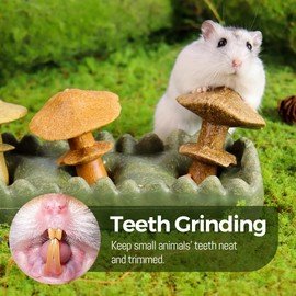 4PCs Edible Small Animal Toys, Hamster Guinea Pig Gerbil Chews for Teeth, Rabbit Enrichment Rodent Pet Nibble, Mushroom & Grass Patch Natural Boredom Breaker for Cage