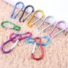 GSHLLO 24 Pcs Colored Keychain Carabiner Clips Small Spring Snap