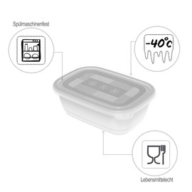 Rotho Freeze Set of 3 Freezer Containers 1 Litre with Lid, Plastic (PP) BPA-Free, Transparent, 3 x 1 L (19.5 x 13.5 x 10.0 cm), Not Applicable