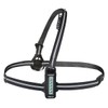 Proviz LED360 Running Chest Light – Running Lights for Runners,