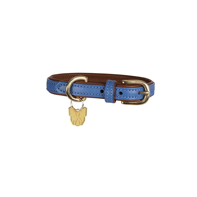 Shires Digby & Fox Padded Leather Dog Collar - Royal
