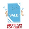 Asuka Asmix F1023 Laminating Film, Postcard Size, Anti-Static, 100 Sheets,