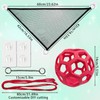 Snake Hammock For Ball Python, Jungle Gym Ball With Chain