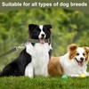 Dog Leash, Training Lead 1.2M, Anti Pull Dog Leads with
