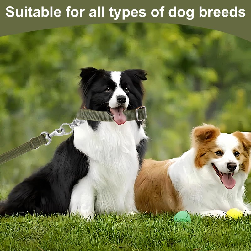 Dog Leash, Training Lead 1.2M, Anti Pull Dog Leads with