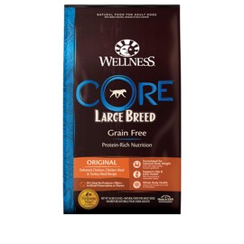 Wellness CORE Natural Grain Free Dry Dog Food, Large Breed, 26-Pound Bag